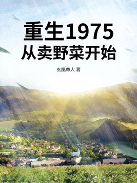 重生1975,从卖野菜开始