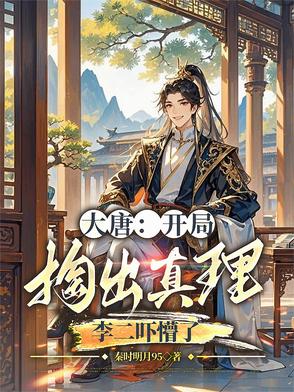 大唐：开局掏出真理,李二吓懵了