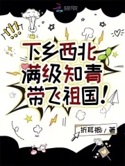 下乡西北,满级知青带飞祖国！