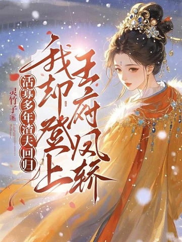 活寡多年渣夫回归,我却登上王府凤轿！