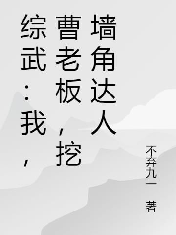综武：我,曹老板,挖墙角达人
