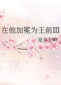 在他加冕为王前